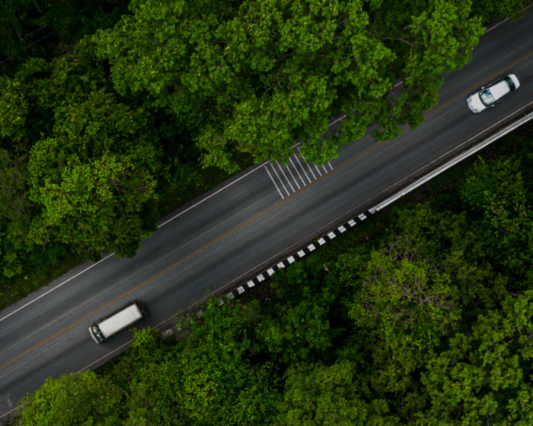 ŵ88(й)ٷվ